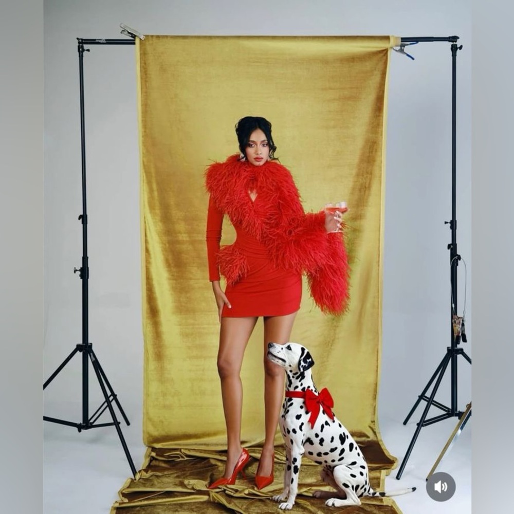 Hanifa Red Feathered Mini Dress